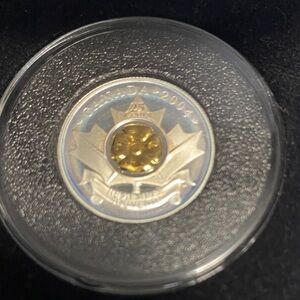 Rare Canadian 2004 Proof Silver 25 Cent Coin with Gold Detail in display case